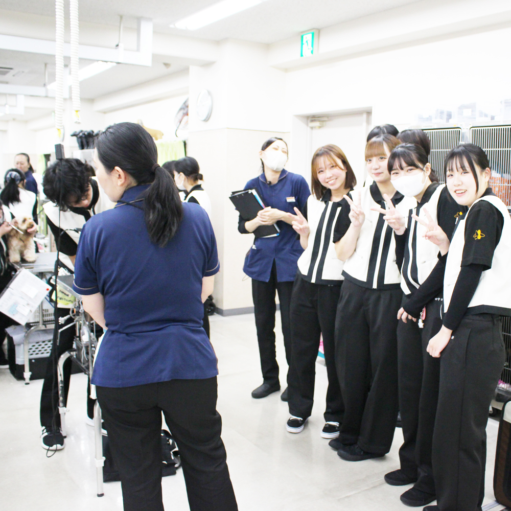 １年生の生徒が２年生のトリミングを見学♪